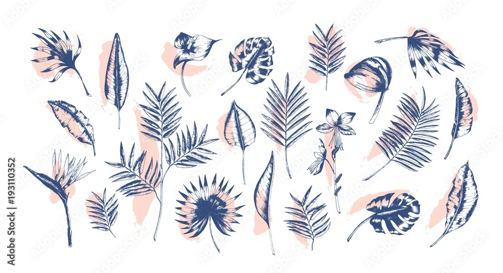 Aufkleber bundle of tropical leaves of various plants hand drawn with contour lines against pink paint traces 