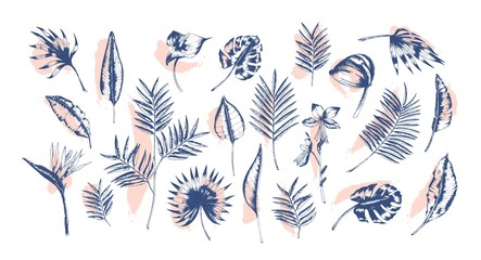 Fototapeta na wymiar Bundle of tropical leaves of various plants hand drawn with contour lines against pink paint traces on background. Set of exotic foliage of different size and shape. Realistic vector illustration.