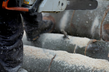 Holzfäller sägt Kaminholz und Brennholz