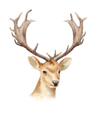 The head of a male deer with horns. Boho template to design posters, wedding invitations, cards.