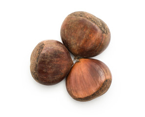 Three European chestnuts Spanish edible top view isolated on white background raw fresh brown nuts.