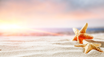 shell on santa and ocean landscape 
