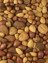 view of mixed nuts 