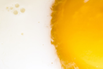 omelette from eggs and milk