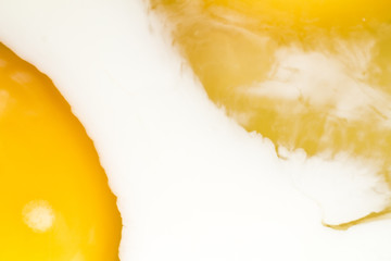 omelette from eggs and milk