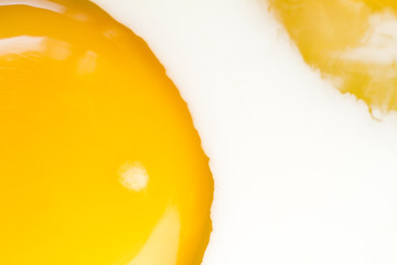 omelette from eggs and milk