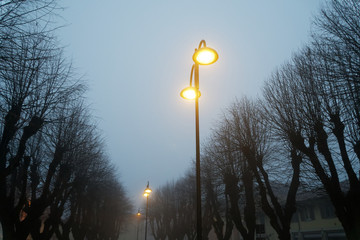 Street lights in foggy weather, late autumn, mistic haze or mist