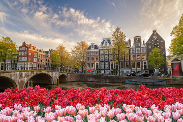 Amsterdam city skyline at canal waterfront with spring tulip flower, Amsterdam, Netherlands - obrazy, fototapety, plakaty