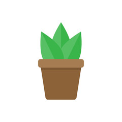 Green random plant in brown pot vector graphic illustration. Three leaves of agave or other succulent plant in pot.