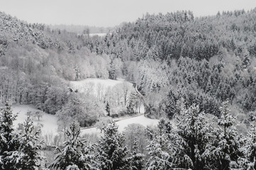 Winter - 193119912