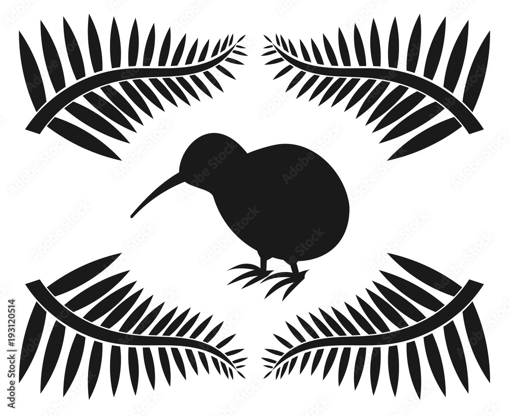 Wall mural kiwi and ferns