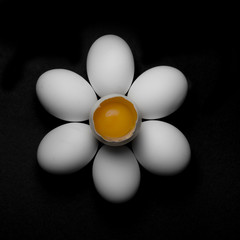 egg flower