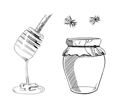 VECTOR set of Honey Sketches, Hand Draw Illustration, Bkack Line Drawings.