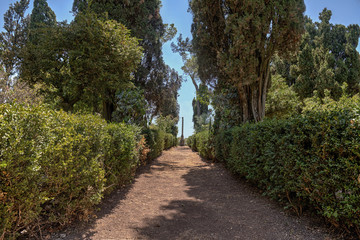 Fumone Castle Roof Garden
