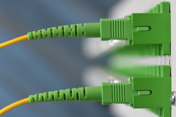 Distribution panel with connected optical patch cord cables