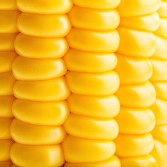 Corn