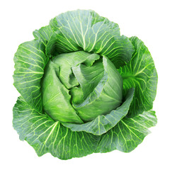 Сabbage