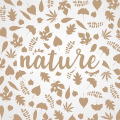 nature leaf pattern vector illustration