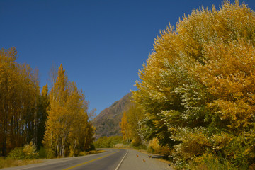 Fototapeta premium Colores de Otoño Carretera Ruta 40
