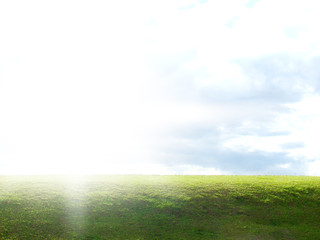 Green field, sky and sun.
