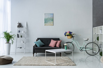 view of stylish living room with retro bicycle, coffee table and sofa
