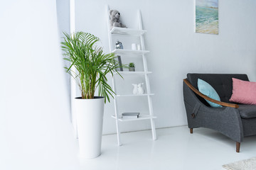 view of living room with dark sofa, shelves and green plant in flowerpot