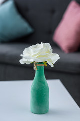 close up view of flower in vase on coffee table in living room