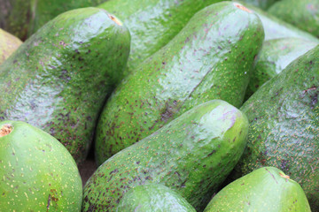 fresh green avocados