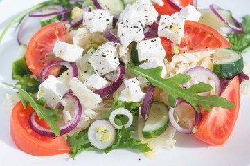 Fresh spring salad with cucumber, tomato, cheese and arugula isolated on a white plate 
