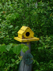 Bird feeder in the form of small house