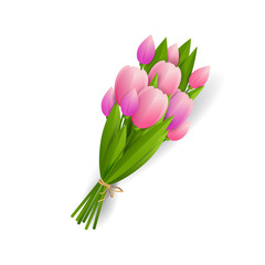 Pink tulips vector