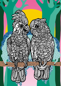 Two Parrots with bold and graphic elements