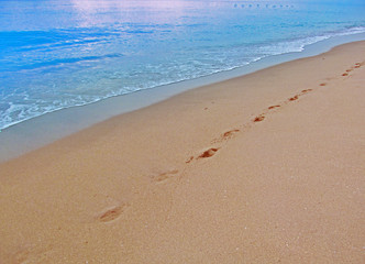 Abstract human footprints on sand beach.
View of the sand and water on the beach in Miami, Florida, USA.Travel vacation concept.
