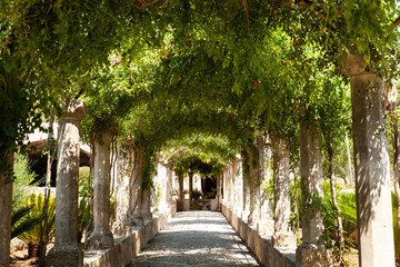 Alfabia gardens in Mallorca