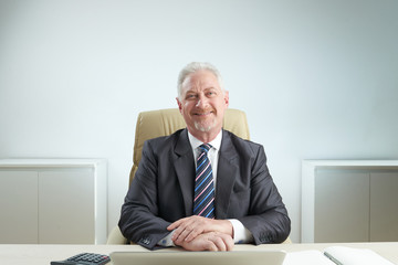 Cheerful senior businessman