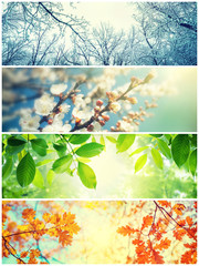 Four seasons. A pictures that shows four different pictures representing the four seasons: Spring,...
