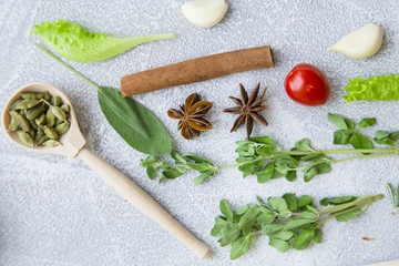 Set of spices and herbs on light stone background