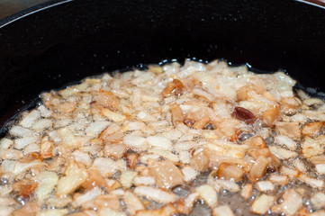 Fried onion and fry in the frying pan