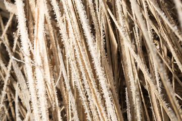 Small snowflakes on dry grass as background
