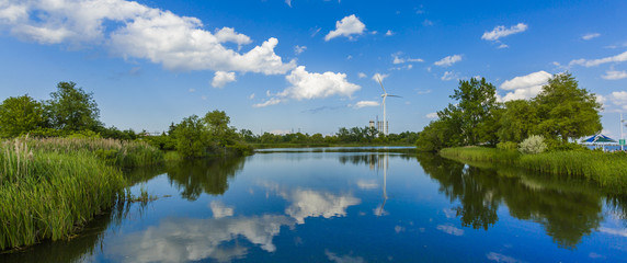 Summer landscape of park on the shore of a pond