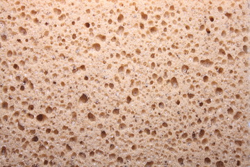 close-up beige sponge texture