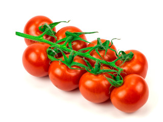 tomatoes on a white background