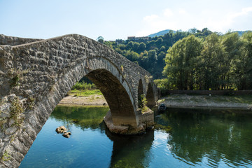 Fototapeta na wymiar The old arched stone bridge of Rijeka Crnojevica, Montenegro