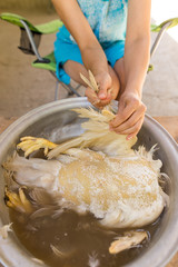 The girl plucks the feathers of a duck