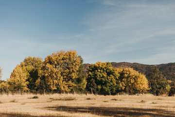 Naklejka premium Paisaje Interior