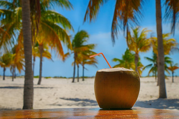 Coconut with a straw on the table on a background of palm trees and tropical sand beach