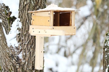 Naklejka premium Wooden feeder on the tree for birds in the forest 