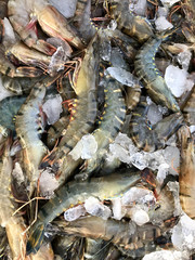 Fresh Seafood sales at the market. Phuket in Thailand