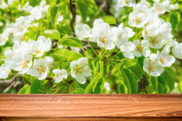 Empty wooden table with spring background of blossoming wild apple tree. Can be used for display or montage products