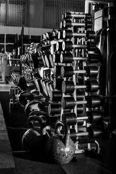 gym interior with sports equipment